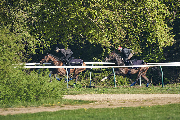 NEWMARKET-GALLOPS-22nd-APRIL-DJ-3247