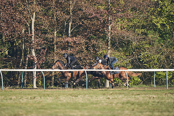 NEWMARKET-GALLOPS-22nd-APRIL-DJ-2421
