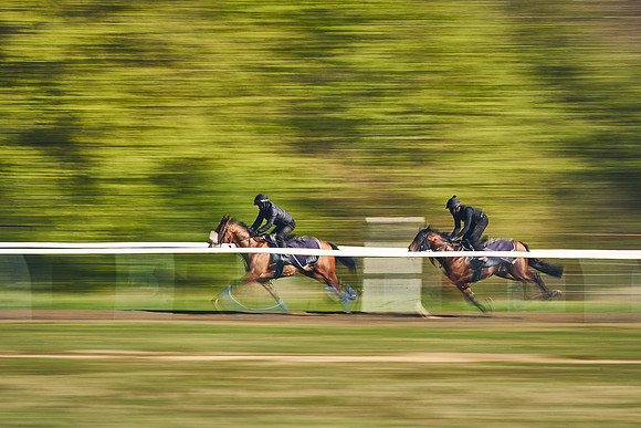 NEWMARKET-GALLOPS-22nd-APRIL-DJ-3282