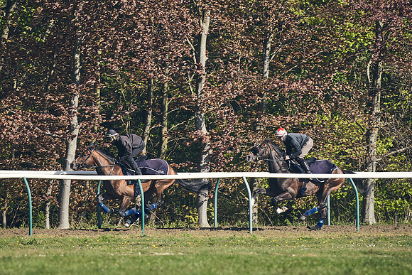 NEWMARKET-GALLOPS-22nd-APRIL-DJ-3231