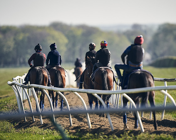 NEWMARKET-GALLOPS-22nd-APRIL-DJ-2940
