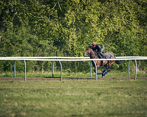 NEWMARKET-GALLOPS-22nd-APRIL-DJ-3110