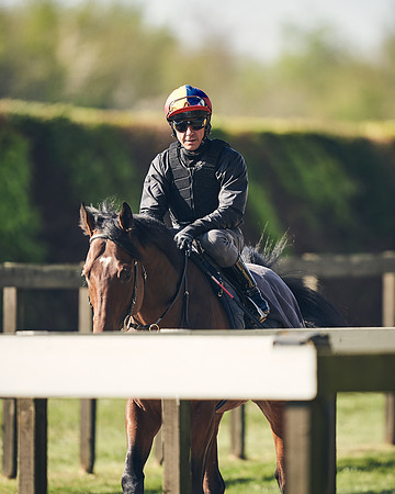 NEWMARKET-GALLOPS-22nd-APRIL-DJ-2907
