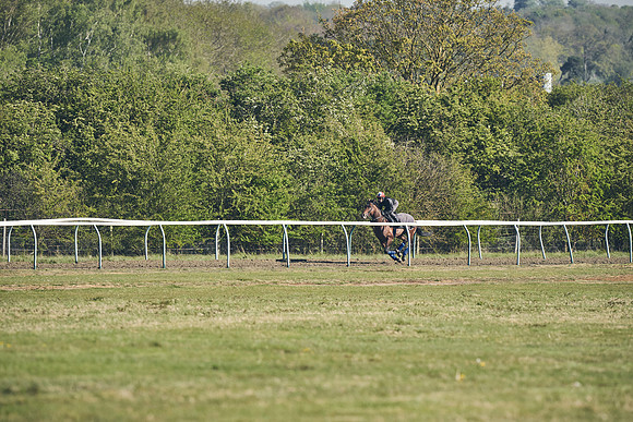 NEWMARKET-GALLOPS-22nd-APRIL-DJ-3100