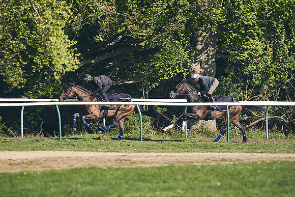 NEWMARKET-GALLOPS-22nd-APRIL-DJ-3242