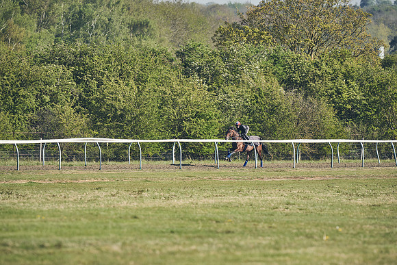 NEWMARKET-GALLOPS-22nd-APRIL-DJ-3102