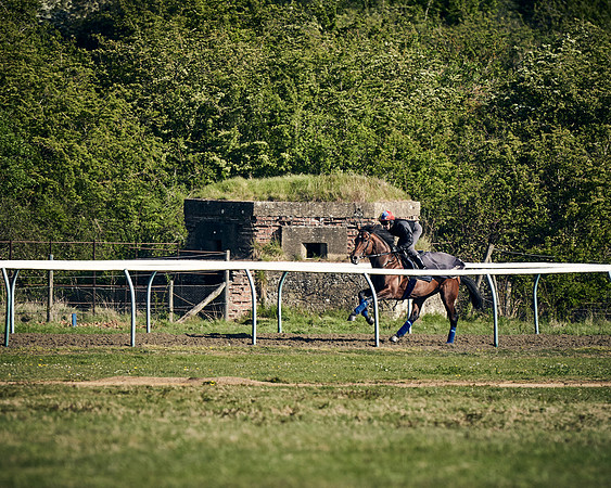 NEWMARKET-GALLOPS-22nd-APRIL-DJ-3105