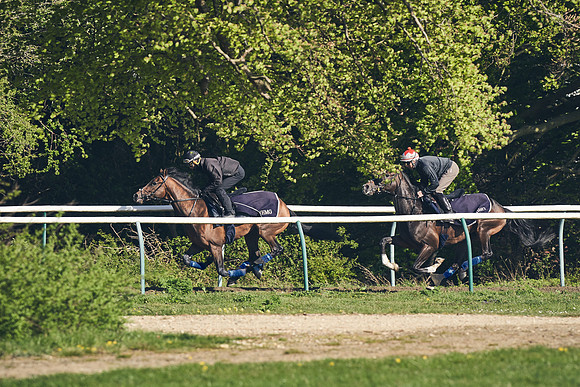 NEWMARKET-GALLOPS-22nd-APRIL-DJ-3246