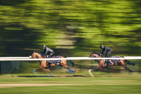 NEWMARKET-GALLOPS-22nd-APRIL-DJ-3295