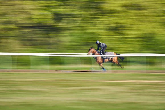 NEWMARKET-GALLOPS-22nd-APRIL-DJ-3343