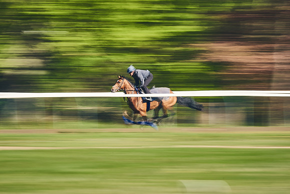 NEWMARKET-GALLOPS-22nd-APRIL-DJ-3351