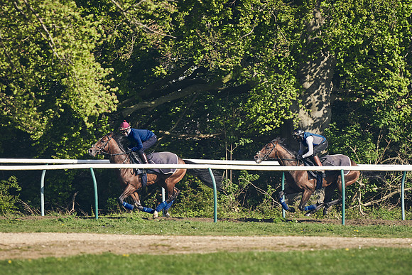 NEWMARKET-GALLOPS-22nd-APRIL-DJ-3214