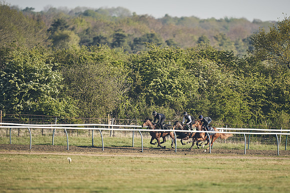 NEWMARKET-GALLOPS-22nd-APRIL-DJ-2393
