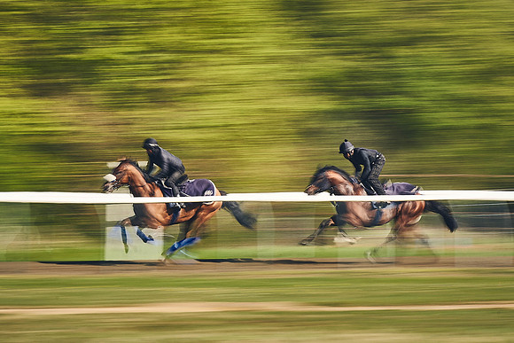 NEWMARKET-GALLOPS-22nd-APRIL-DJ-3281