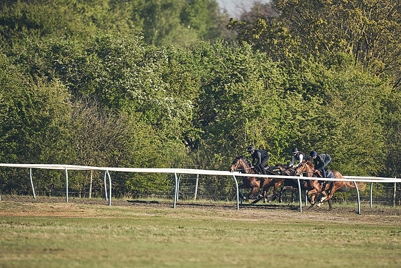 NEWMARKET-GALLOPS-22nd-APRIL-DJ-2409