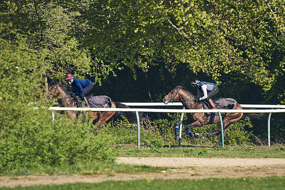 NEWMARKET-GALLOPS-22nd-APRIL-DJ-3220
