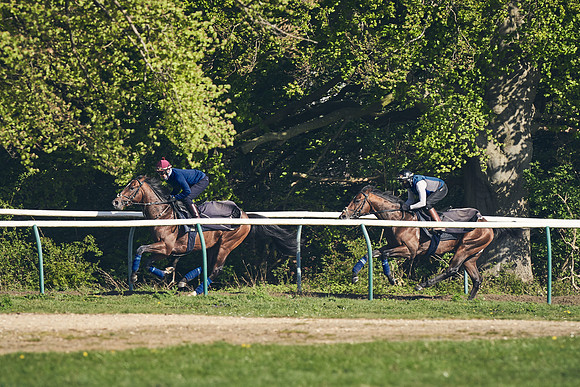 NEWMARKET-GALLOPS-22nd-APRIL-DJ-3215