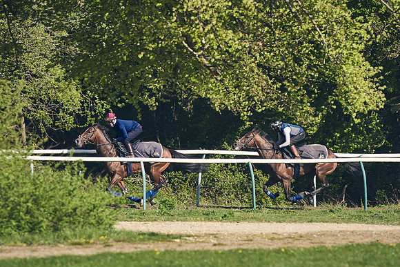 NEWMARKET-GALLOPS-22nd-APRIL-DJ-3219
