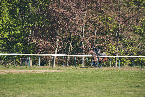 NEWMARKET-GALLOPS-22nd-APRIL-DJ-3116