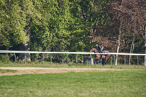 NEWMARKET-GALLOPS-22nd-APRIL-DJ-3119