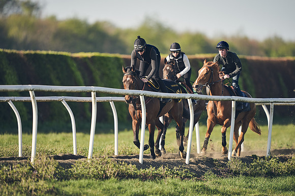 NEWMARKET-GALLOPS-22nd-APRIL-DJ-2338