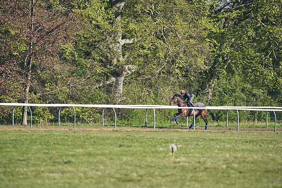 NEWMARKET-GALLOPS-22nd-APRIL-DJ-3113