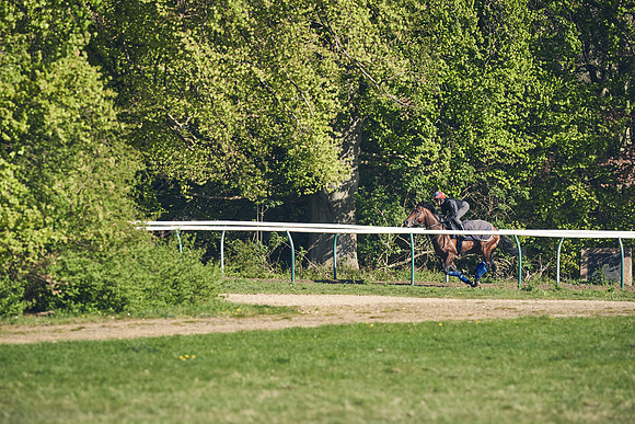 NEWMARKET-GALLOPS-22nd-APRIL-DJ-3123