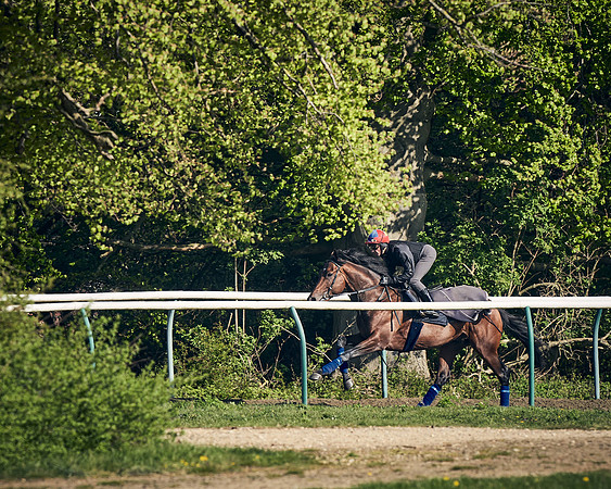 NEWMARKET-GALLOPS-22nd-APRIL-DJ-3125