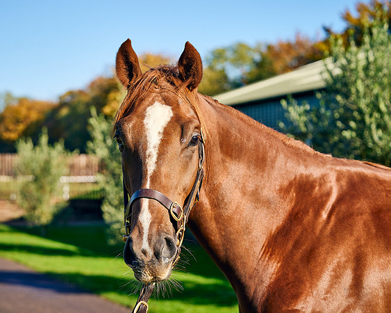 2021-11-09-Dominic-James-03941