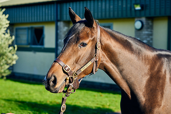 2021-11-09-Dominic-James-05106