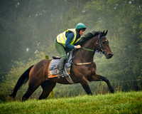 016B Nigel Twiston-Davies