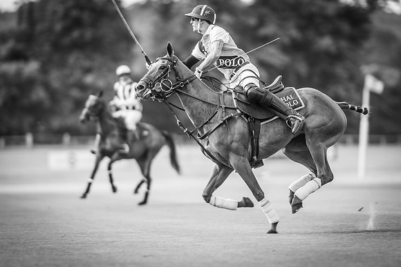 Veuve Clicquot Gold Cup 2013