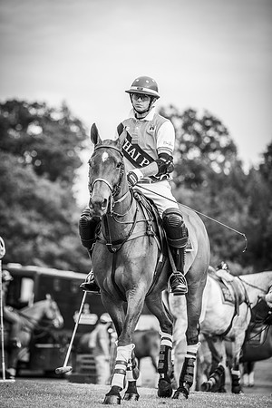 Veuve Clicquot Gold Cup 2013