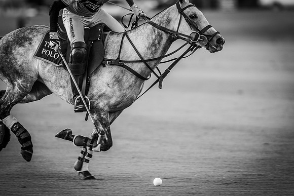 Veuve Clicquot Gold Cup 2013