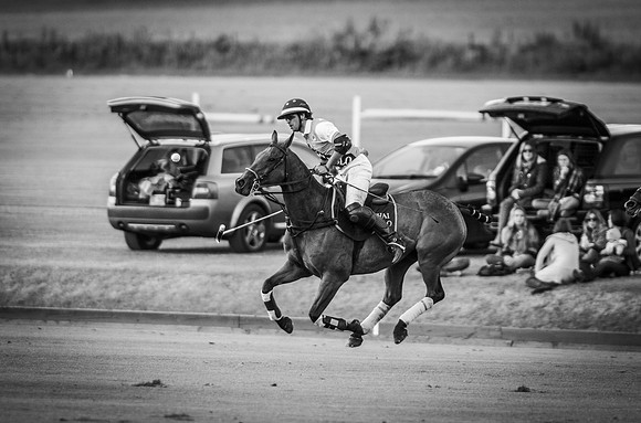 Veuve Clicquot Gold Cup 2013