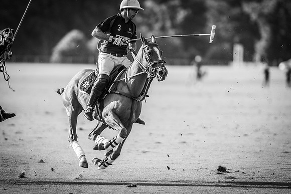 Veuve Clicquot Gold Cup 2013