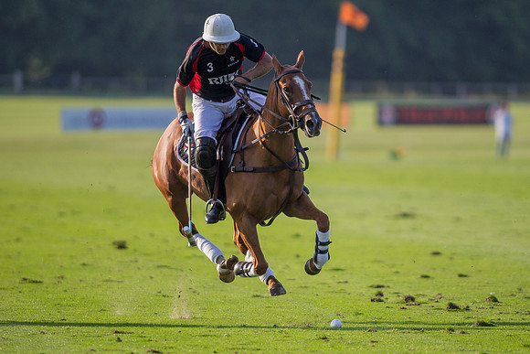 Veuve Clicquot Gold Cup 2013