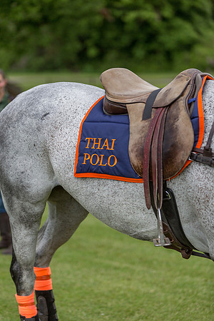 Veuve Clicquot Gold Cup 2013