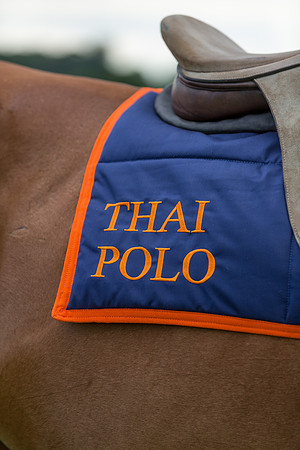Veuve Clicquot Gold Cup 2013