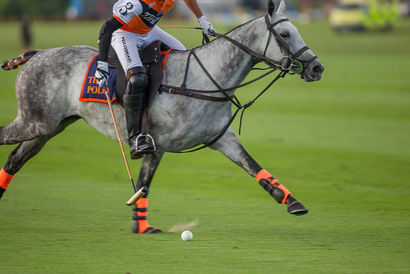 Veuve Clicquot Gold Cup 2013
