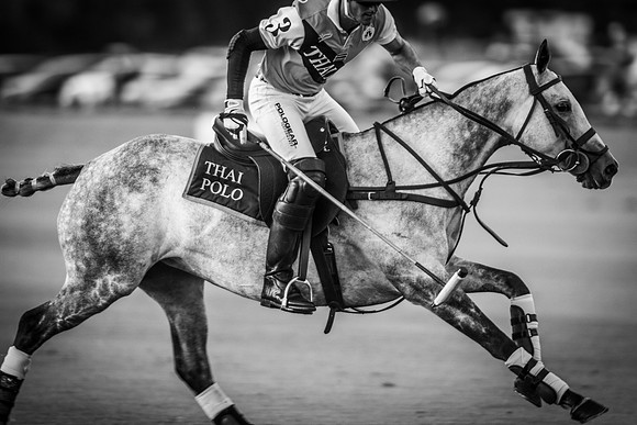 Veuve Clicquot Gold Cup 2013