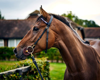 020 George Baker