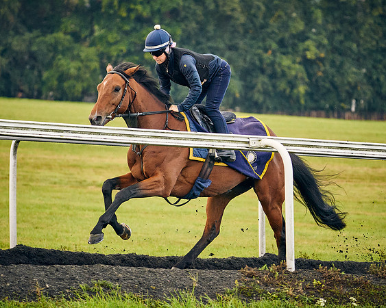 2021-09-15-Irish-Legend-030-