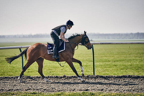 GEORGE-BOUGHEY-RACING-DJ-3376