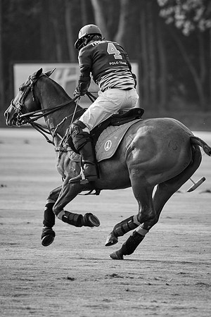THAI-POLO-OPEN-2019_DJ_0665
