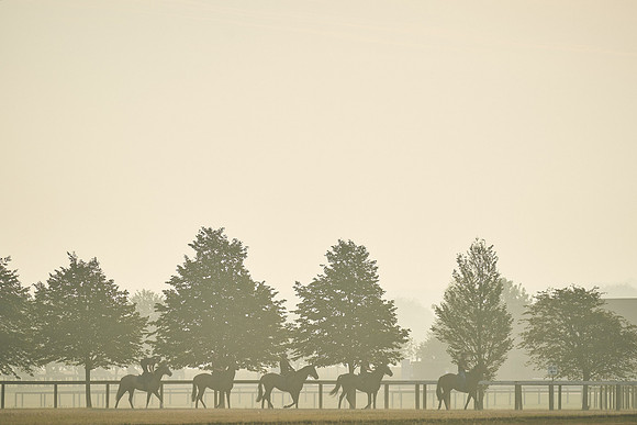 12th-August-Dominic-James-01580