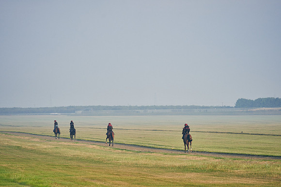 12th-August-Dominic-James-01713