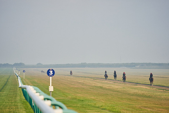 12th-August-Dominic-James-01721