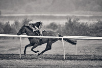 John Gosden Alba 12th August