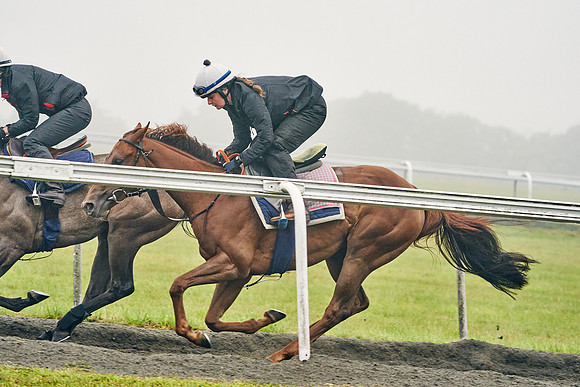 14th-August-Dominic-James-05618